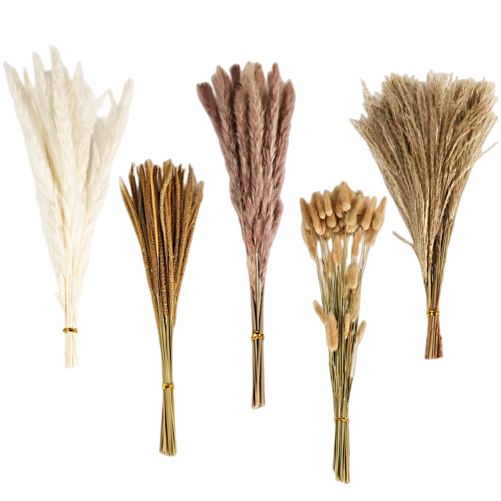 Pampas Grass Decor - Sonbahar Vintage Karışık Kurutulmuş Çiçek Buketi,