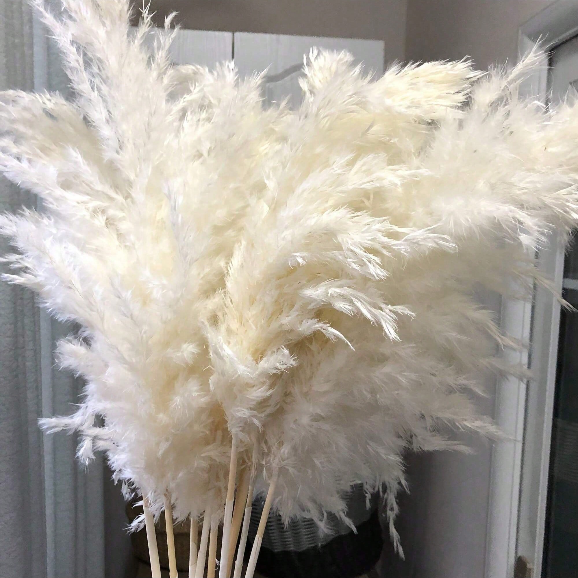 Pampas Grass Decor - 10/20/30 adet Beyaz Yapay Pampas Çim