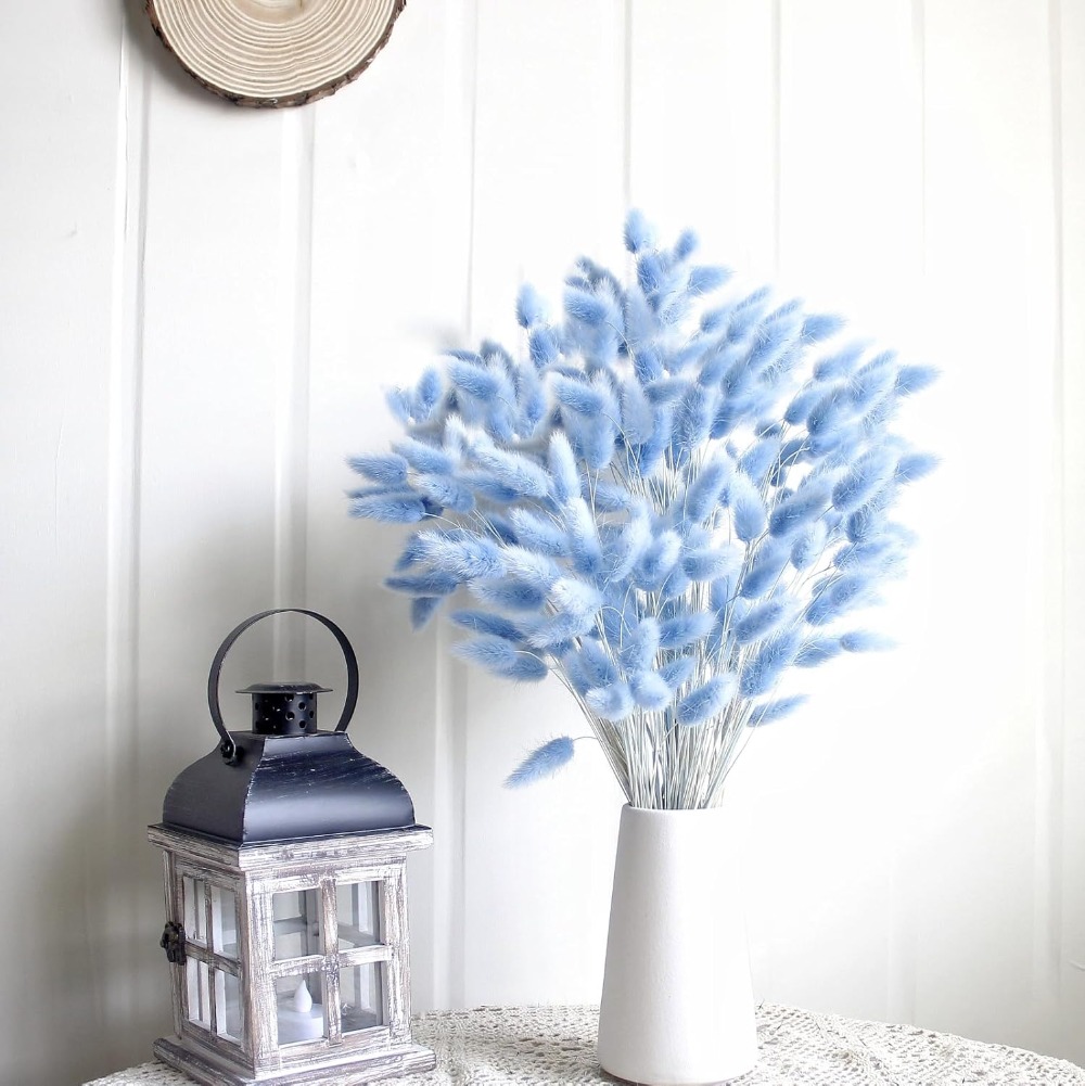 100 adet mavi tavşan kuyruğu ç - Pampas Grass Decor incelemesi ve fiyatı