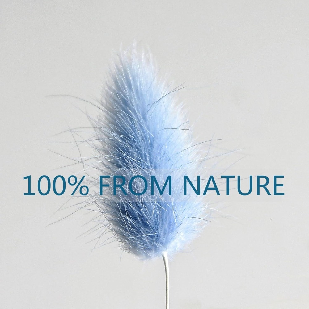 100 adet mavi tavşan kuyruğu ç - Pampas Grass Decor incelemesi ve fiyatı