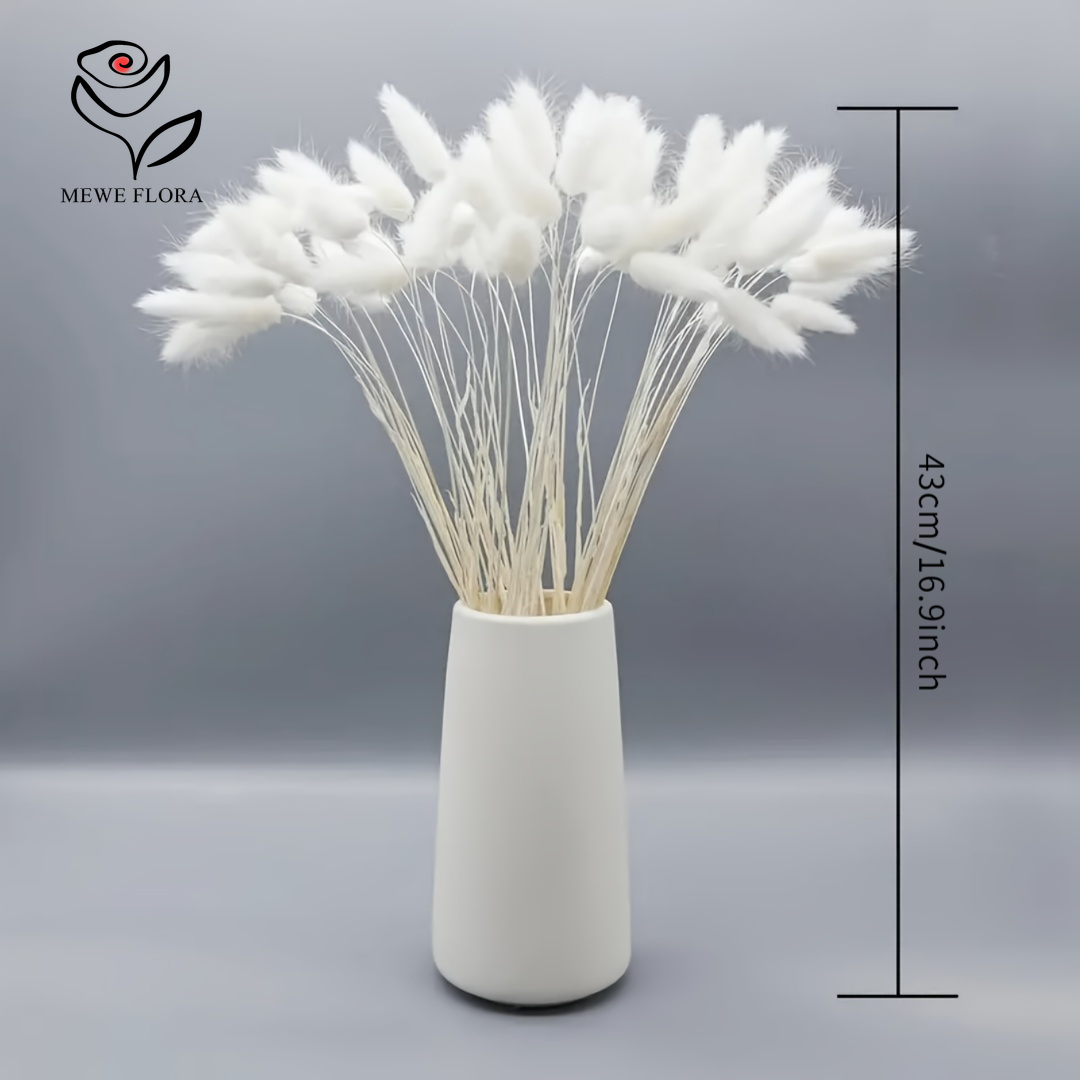 150 adet beyaz doğal kabarık t - Pampas Grass Decor incelemesi ve fiyatı